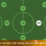 cam là vị trí nào