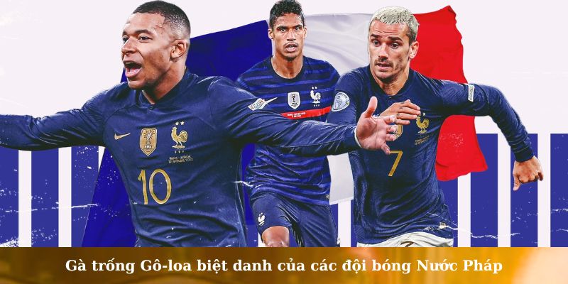 biệt danh của các đội bóng