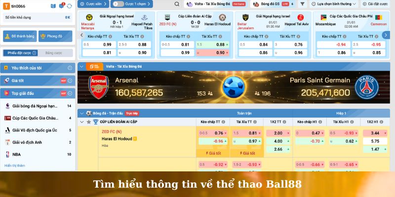 thể thao